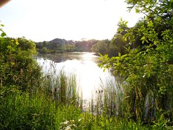 19 20-Jun-13 19-28-18 P7100 001